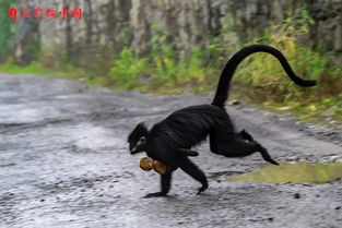 过路的晚风，过路阴阳