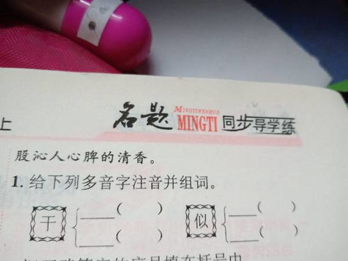 多音字注音组词横,乐,量,分,舍,笼