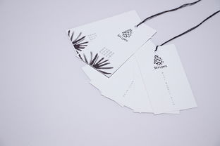 stripe是什么意思