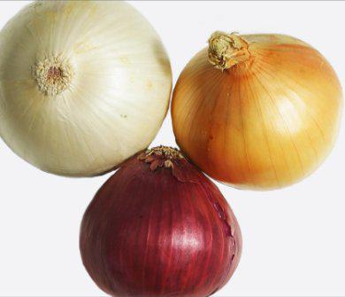 onion的读音是什么?