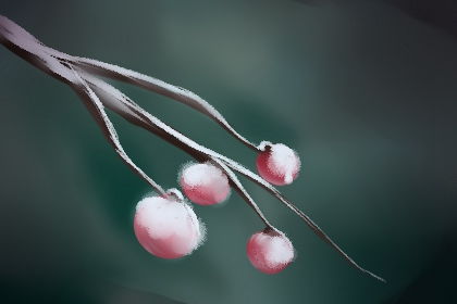 白羊座怎么挽回