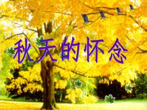 史铁生秋天的怀念主要内容，秋天的怀念主要内容和主题思想