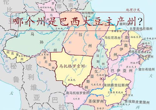 巴西在哪个洲地图，巴西在哪个洲的国家
