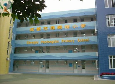 成都泡桐树小学怎么样，成都泡桐树小学天府校区