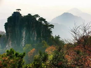 沂蒙山在哪个省哪个市