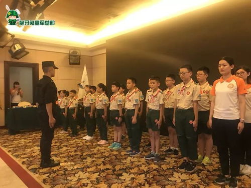 中国的蓝领巾是什么