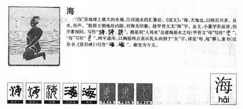 洋的笔顺怎么写笔画视频，极组词海的笔顺怎么写