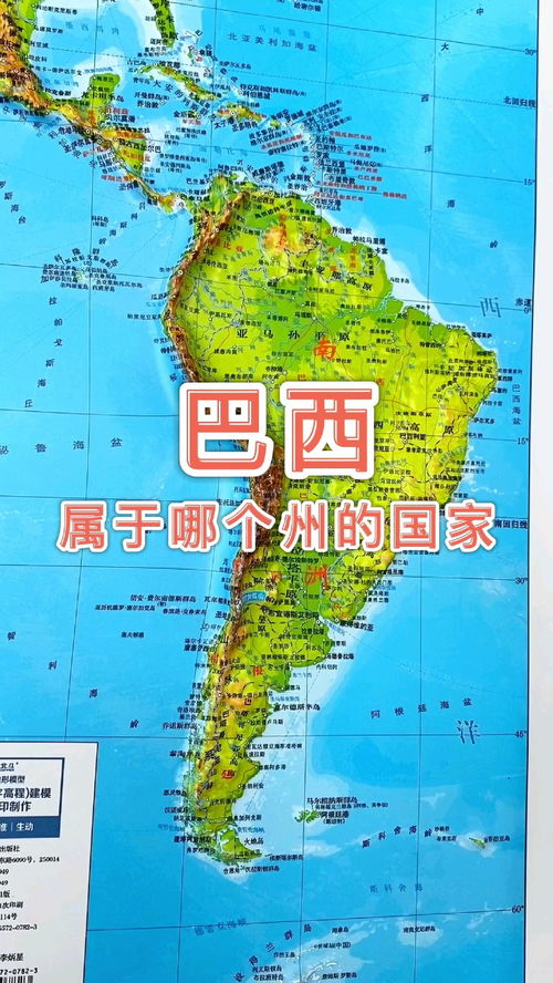 巴西在哪个洲