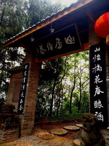 明月松间照下一句