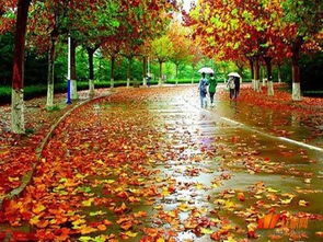 小学语文《秋天的雨》课文原文