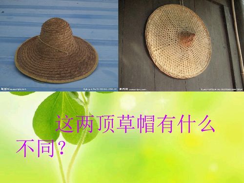尖尖的草帽全文阅读，尖尖的草帽写读后感怎么写