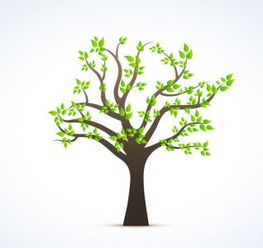 描写水的词语2字，描写树的词语两个字