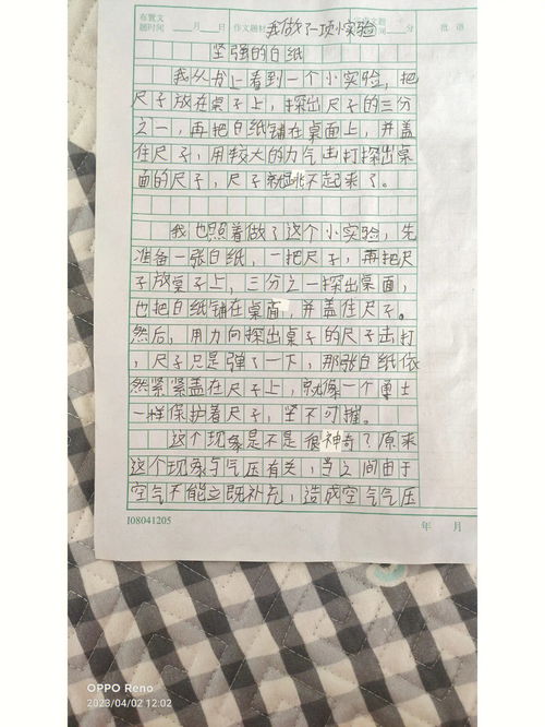 大全作文300字