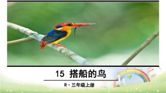 搭船的鸟教案第一课时，搭船的鸟教案免费