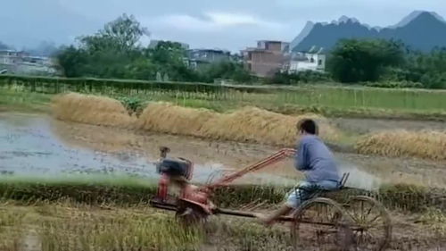 汉字“耕”怎么解释耕字笔画是多少