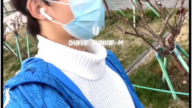 篮球王子图片，网球王子全国大赛