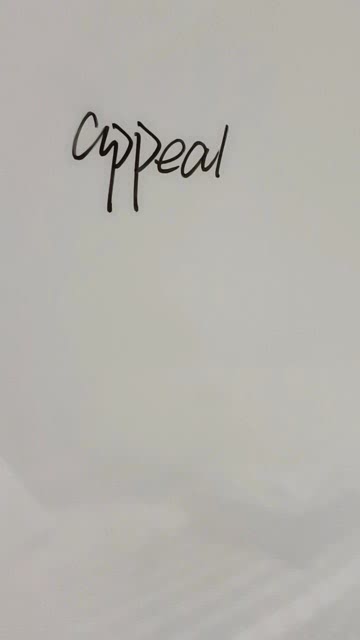 appeal是什么意思啊英语，appeals是什么意思中文翻译