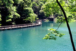 牯牛降主峰景区旅游指南牯牛降主峰景区介绍