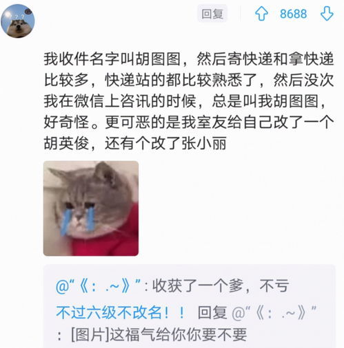 有口难言 打一字