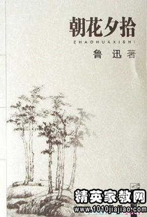 读鲁迅《朝花夕拾》有感600字