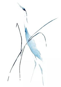 碧水浩浩云茫茫的下一句，碧水浩浩云茫茫打一动物
