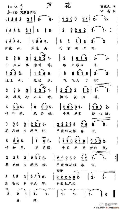 芦花歌词歌曲，雷佳芦花歌词