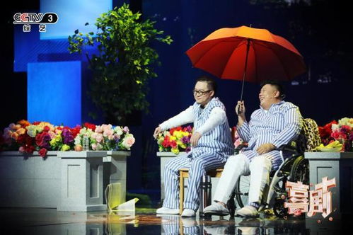 词语情同手足什么意思