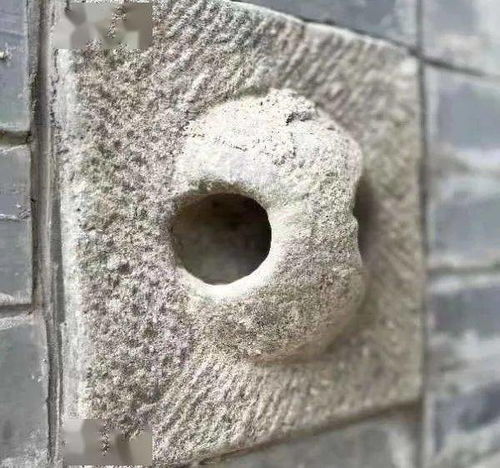 “碌碌如玉,珞珞如石”是什么?