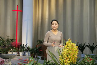 serving是什么意思，serving up
