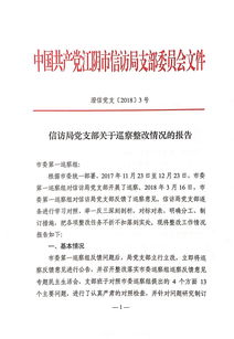 公务用车巡察整改情况报告，主要负责人组织落实巡察整改情况报告