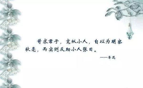 明察秋毫 造句