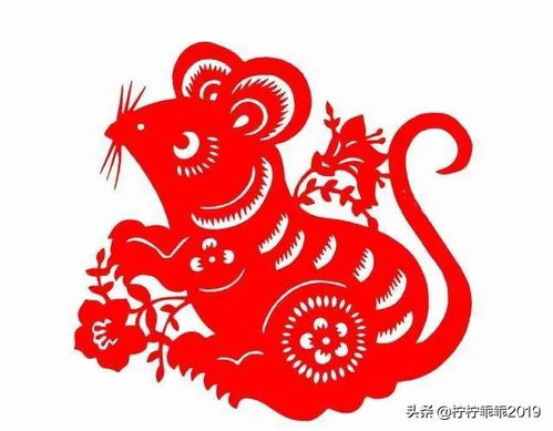 鼠目寸光正确生肖2023，鼠目寸光打一生肖是什么