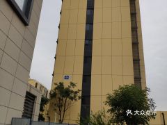 阜盛是什么意思