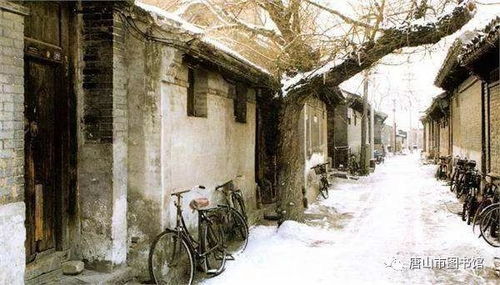 迟子建泥泞读后感