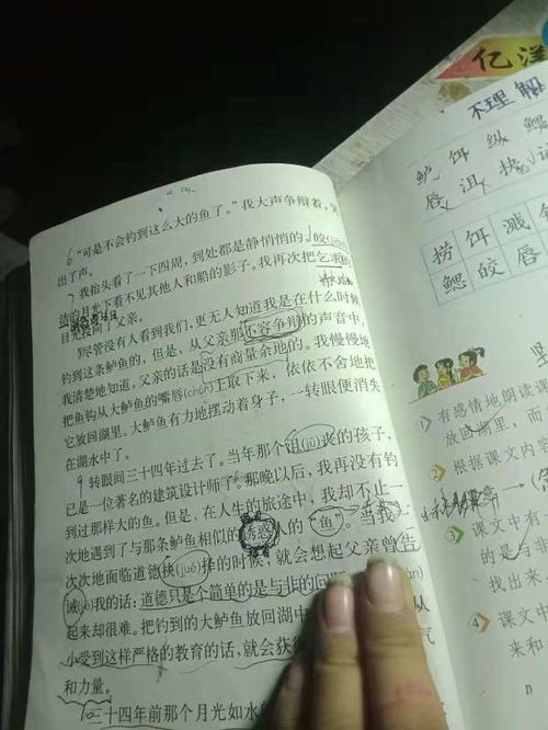 索组词，肃组词