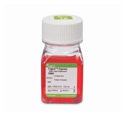enzyme是什么牌子，enzyme词根词缀