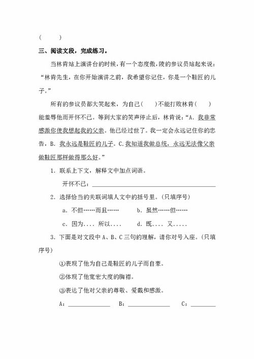 小学语文课外阅读鞋匠的儿子，鞋匠的阅读题及答案