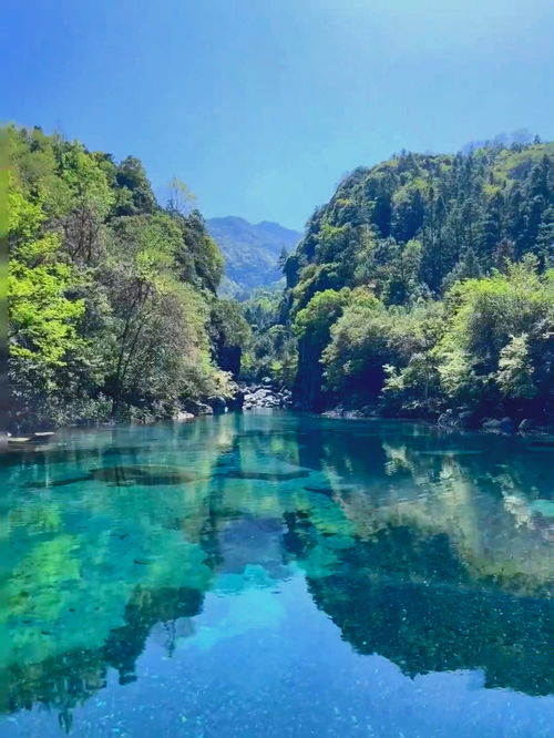 牯牛降旅游地图，牯牛降旅游发展有限公司