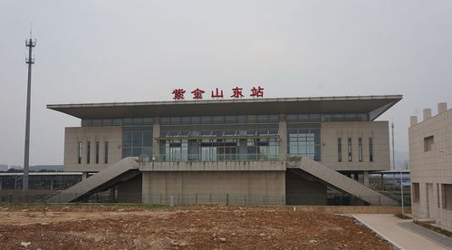 紫金山东站有列车吗，紫金山东站是否会启用