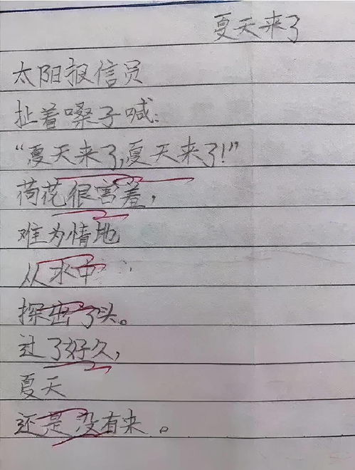 夏天来了作文500字，夏天来了作文100字