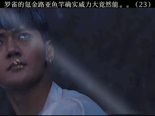 罗雀掘鼠的意思，罗雀掘鼠