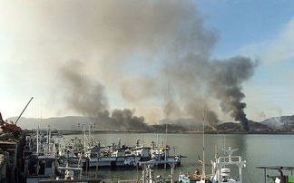 11·23朝鲜韩国延坪岛交火事件的死伤结果