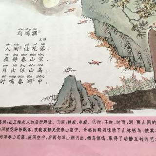 鸟鸣涧古诗朗读带拼音，鸟鸣涧古诗朗读节奏划分