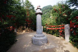 西安到净业寺怎么去