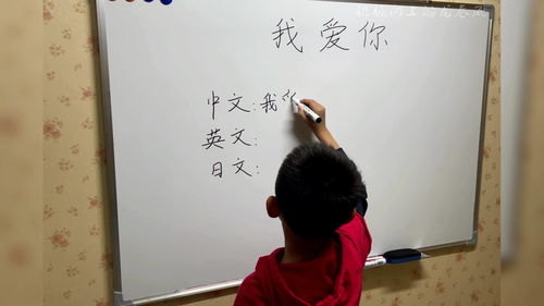 我学会了什么作文400字四年级，我学会了什么作文350字