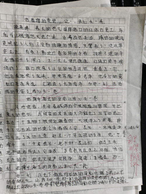 七年级优秀作文大全700字，七年级优秀作文大全300字