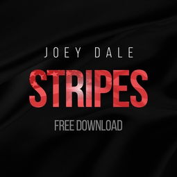 stripes用英语怎么说，stripe收单开户条件