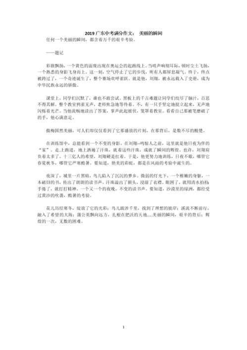 美丽的瞬间作文600字初中，美丽的瞬间作文600字
