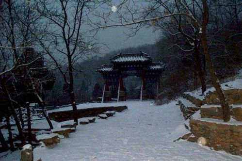 文言文雪夜访戴