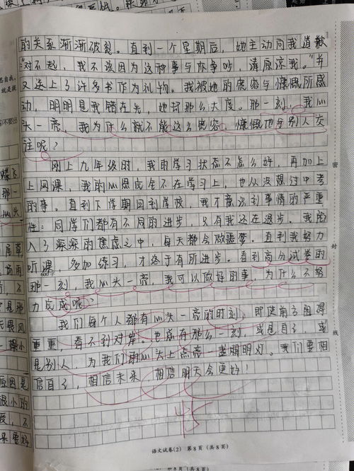 七年级优秀作文